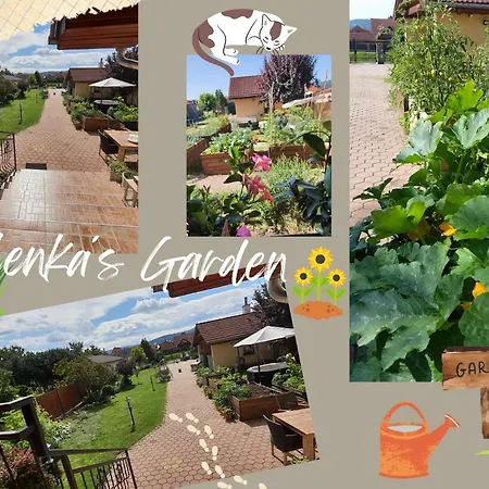 U Alenky Na Zahrade Smižany