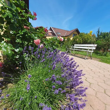 Casa vacanze U Alenky Na Zahrade Smižany