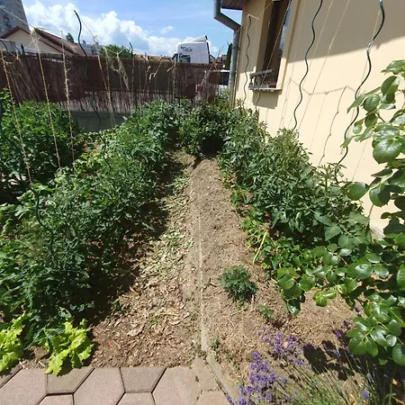 U Alenky Na Zahrade Сasa de vacaciones *