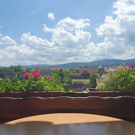 U Alenky Na Zahrade * Smižany