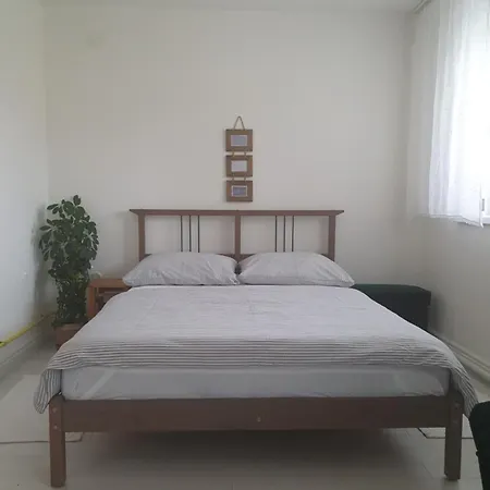 U Alenky Na Zahrade