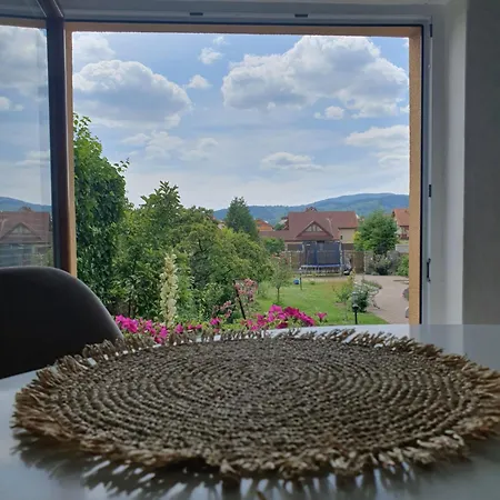 U Alenky Na Zahrade Nyaraló Szepessümeg