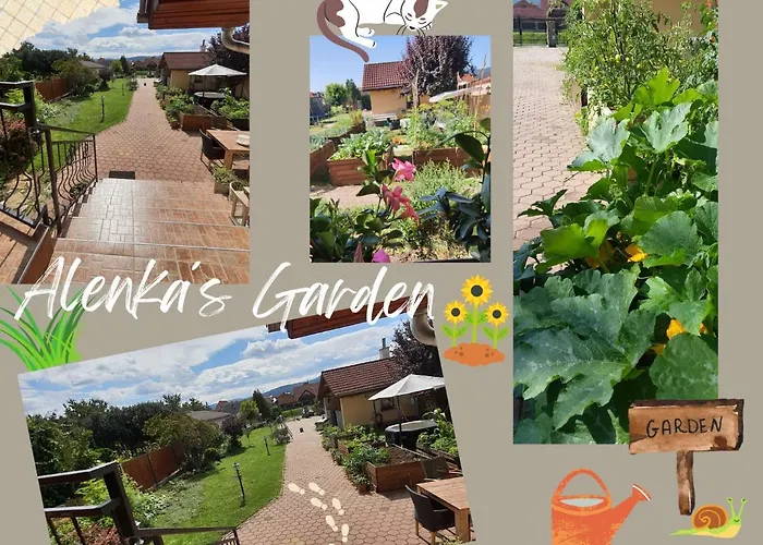 U Alenky Na Zahrade 斯米扎尼