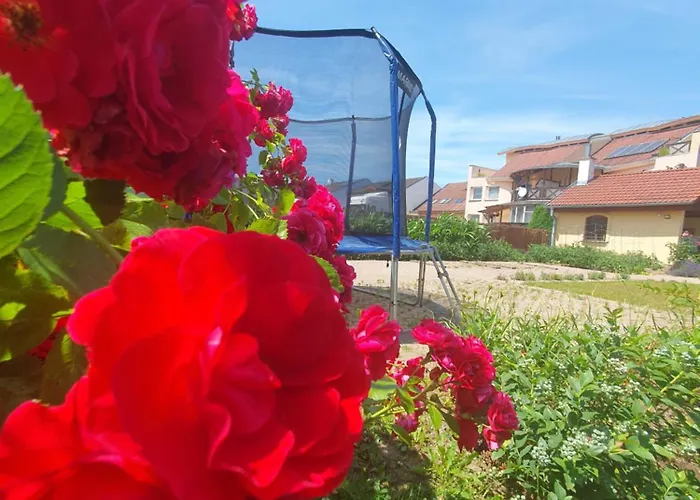 U Alenky Na Zahrade Σπίτι διακοπών Smižany