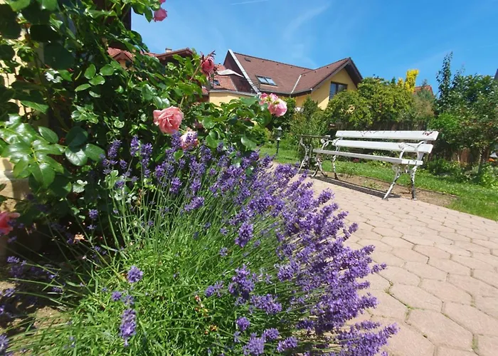 度假居 U Alenky Na Zahrade 斯米扎尼
