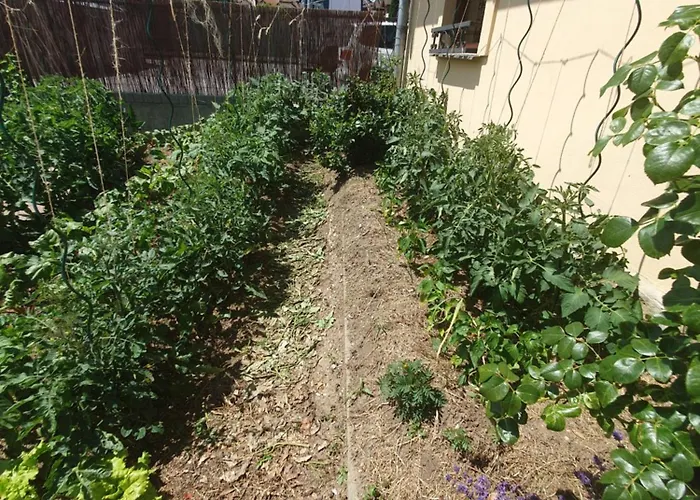 U Alenky Na Zahrade Σπίτι διακοπών *