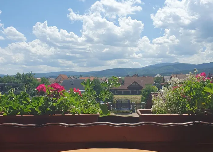 U Alenky Na Zahrade * Smižany