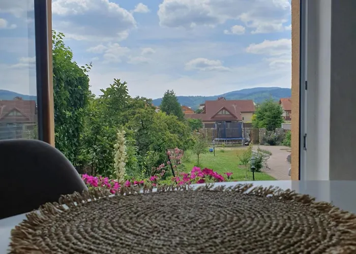 U Alenky Na Zahrade 度假居 斯米扎尼